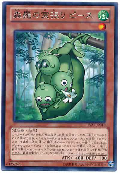 森羅の実張り ピース